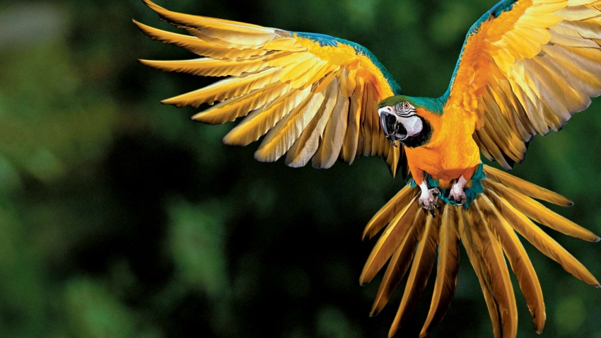 03_amazon-experience-page-carousel_az087rm