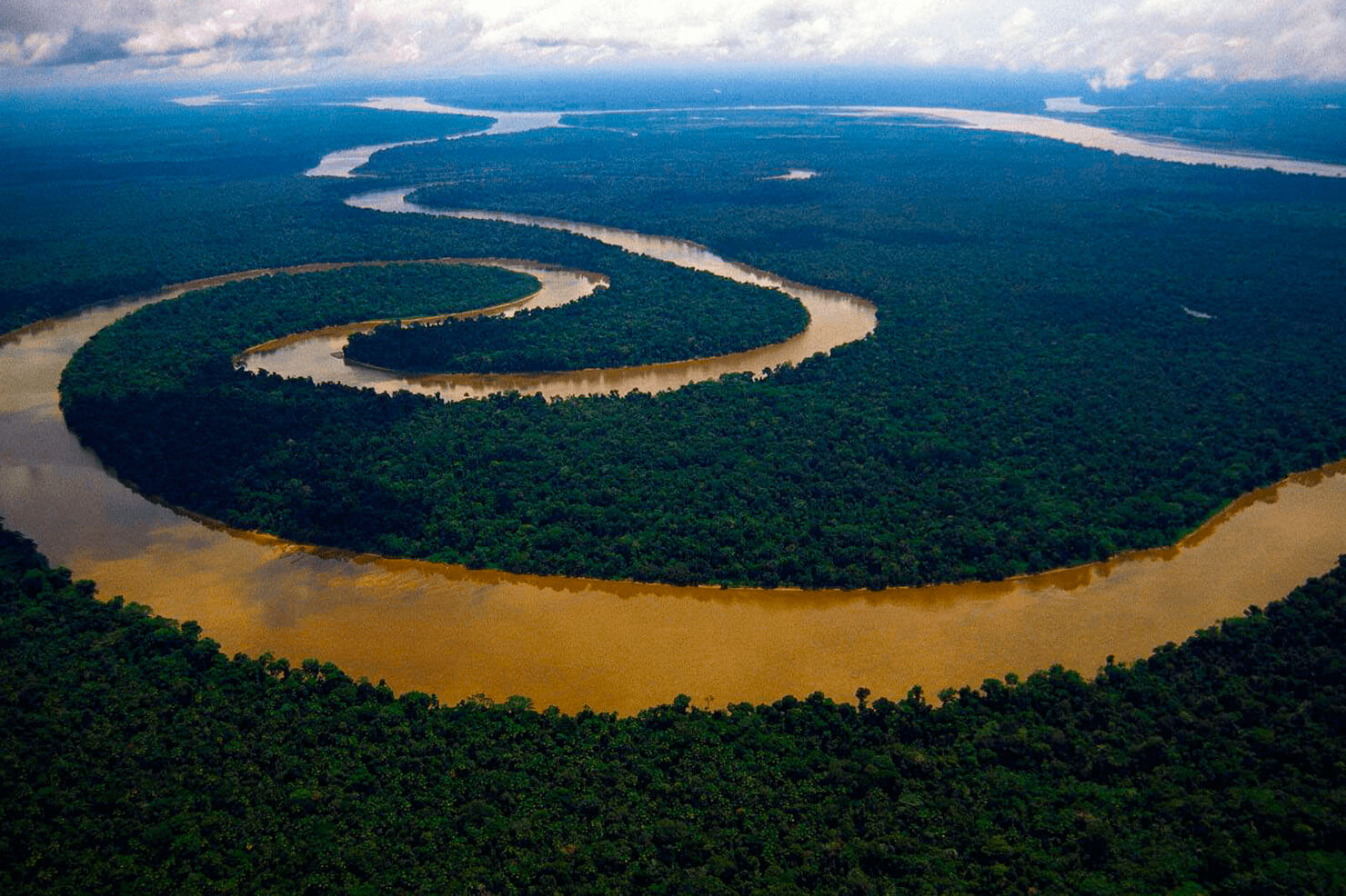 Curving Amazon River