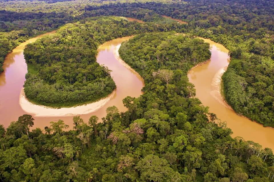 The Amazon River snaking through the rainforest.