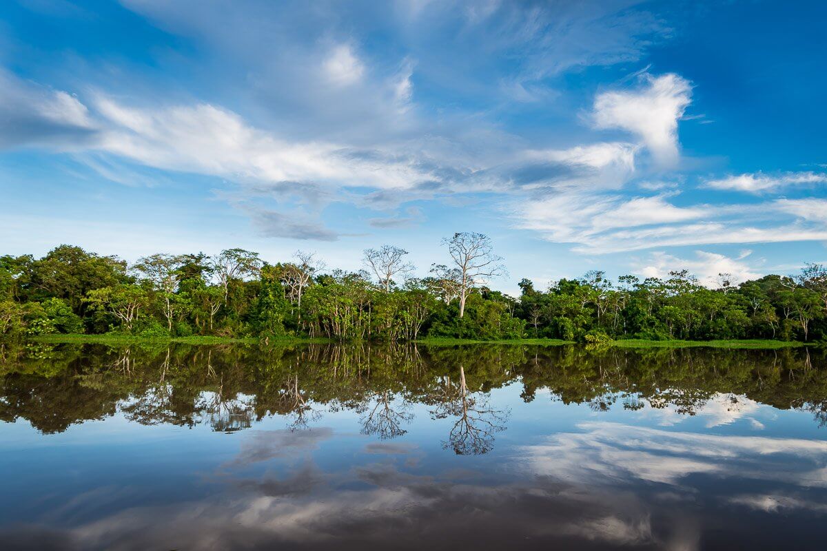 Amazon Fresh Water