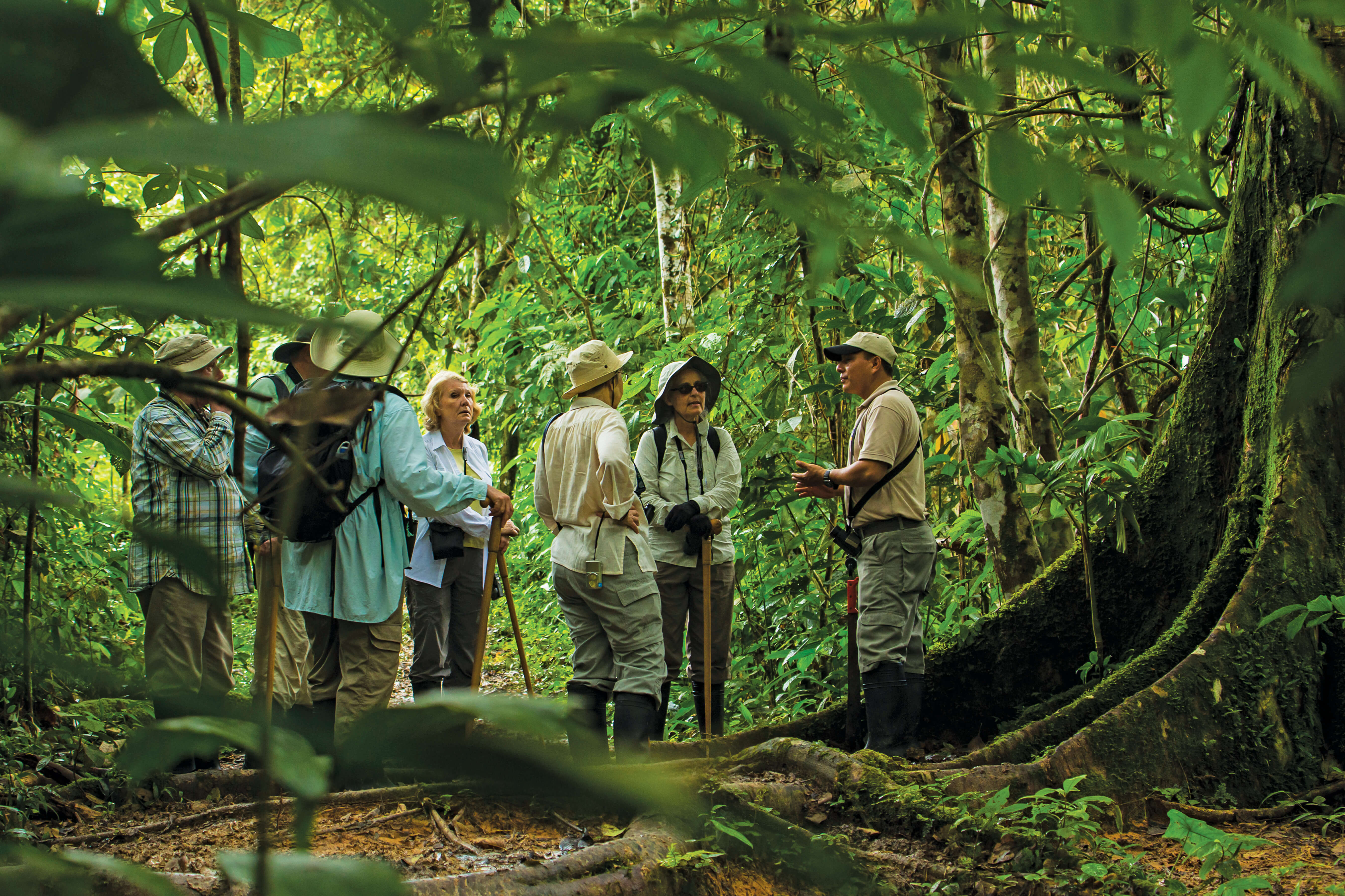 Naturalist Guide with Guests, Pacaya-Samiria National Reserve, Marañón River, Amazon River, Peru