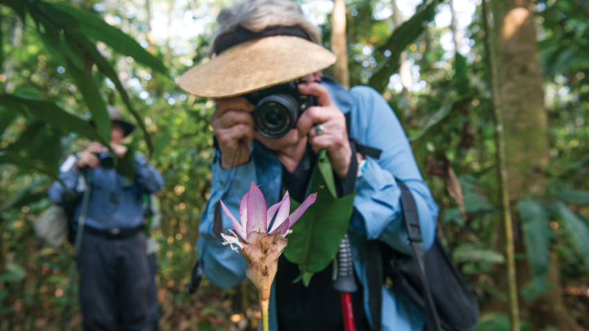 Guest exploring the Incahua trail in the Amazon rainforest. Peru