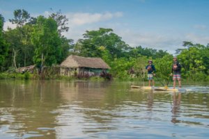 Guests on paddle boards