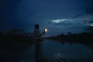 Armed with a powerful spotlight, and surrounded by darkness and the engulfed by the sounds of the Amazon, we went in search of caimans.